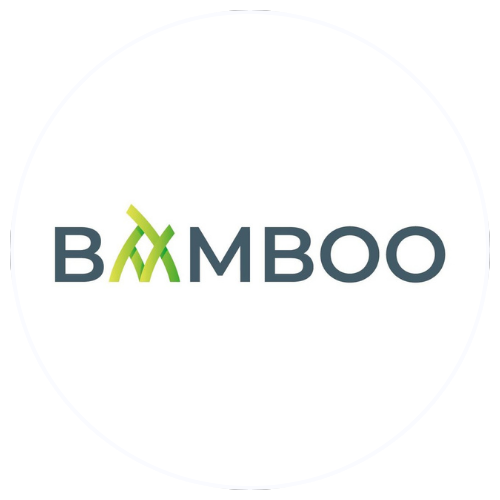 Bamboo